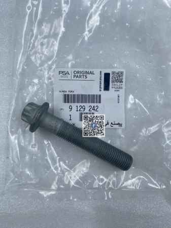 Trunk with car parts - CRANKSHAFT PULLEY SCREW - 9129242