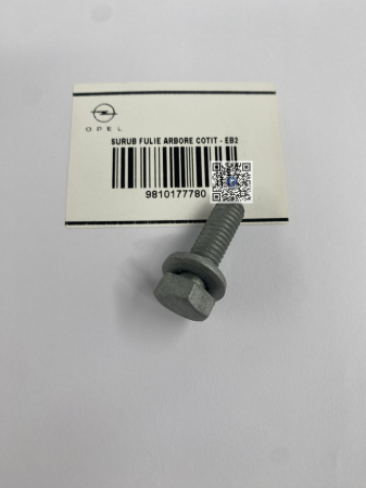 KURBELWELLENRIEMENSCHRAUBE - EB2 9810177780