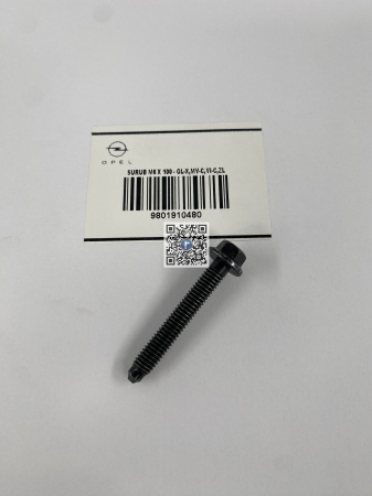 Гвинт  M6 X 100 - GL-X,MV-C,VI-C,ZL 9801910480 [1]