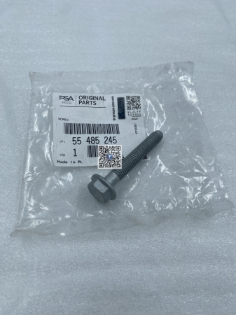 Portbagajul cu piese auto - SURUB  M8 X 53 - 55485245