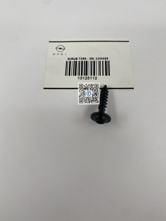 ГВИНТ TORX - 13125112 [1]