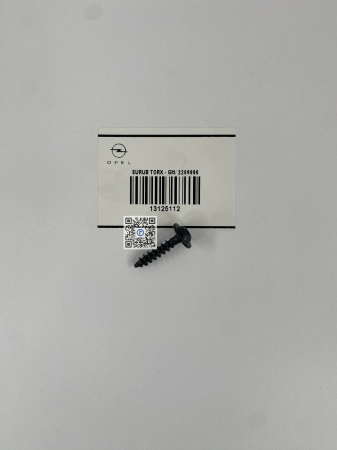 Багажник с автозапчастями - ГВИНТ TORX - 13125112