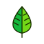 PRODUSE NATURALE