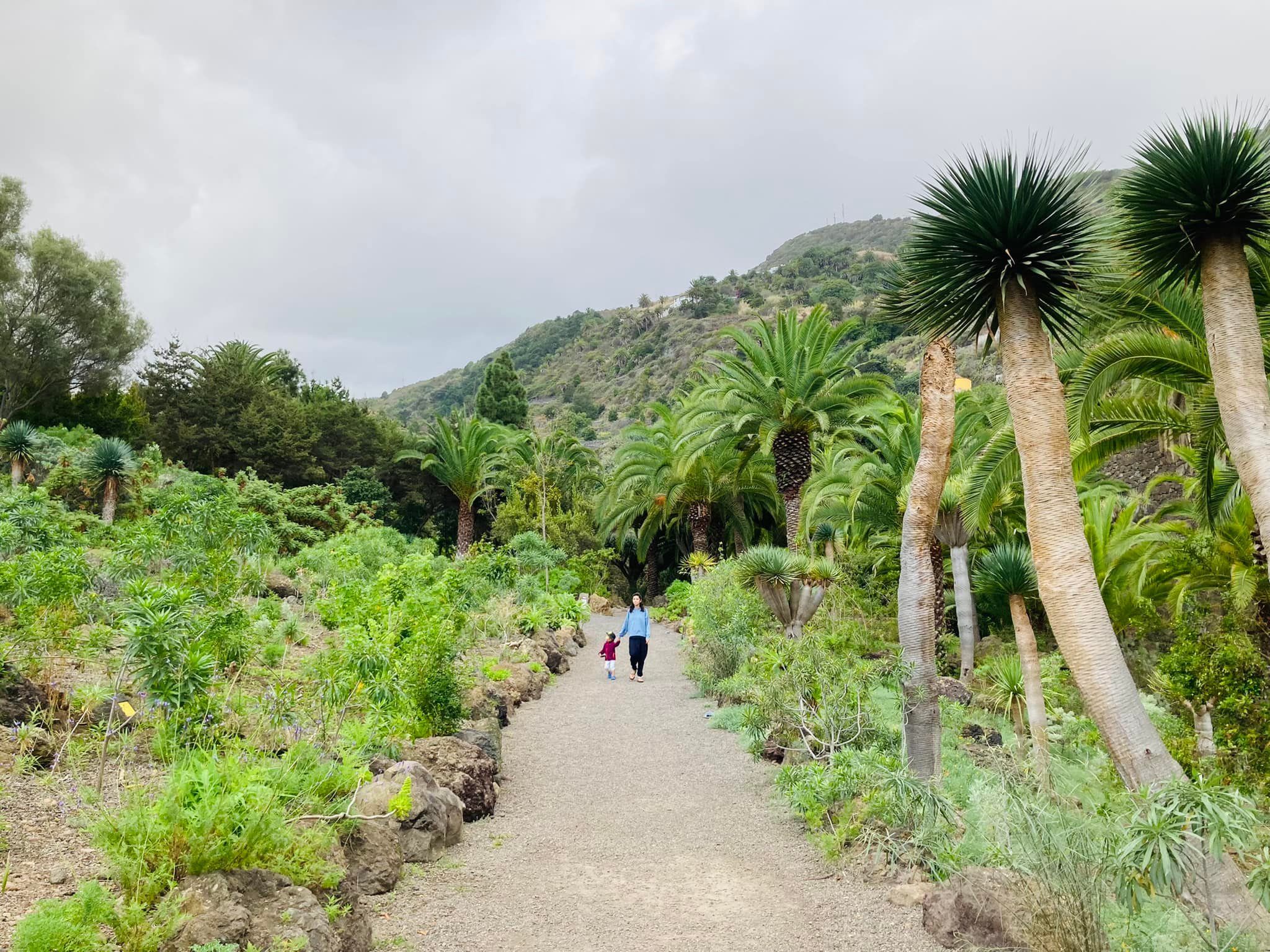 Vacanta in Tenerife partea II – activitati