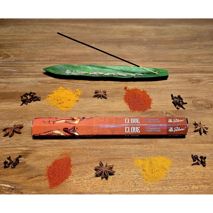 Betisoare parfumate cu cuisoare – aroma intensa | Padmini India [3]