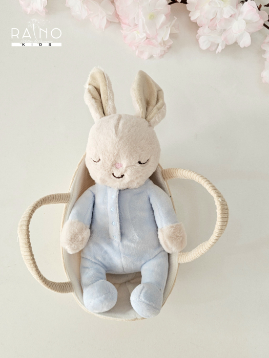 Set 2 piese iepuras si cosulet, culoare BabyBlue [1]