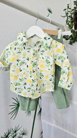 Bluza/Camasi - Camasa Baieti Limonade 62 - 98