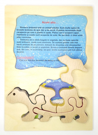 Jucarii - Placa Educativa "Acum stiu .."