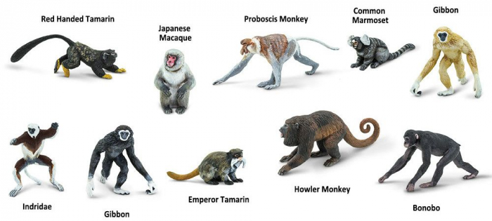 Tub 10 Figurine Maimute [3]