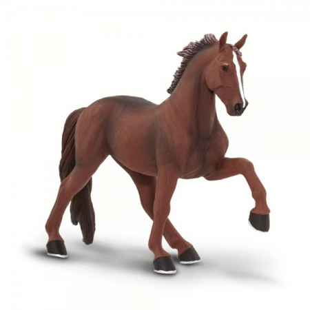 Cal de Tennesse Safari Ltd [1]