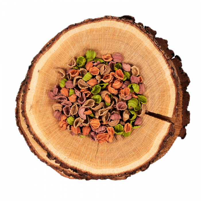 Scoici amestecate fără gluten – Paste artizanale colorate [3]