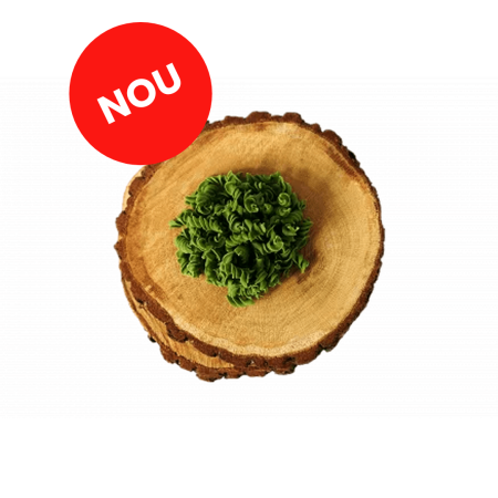 Paste cu legume și verdețuri - Răsucite cu leurdă – Paste artizanale