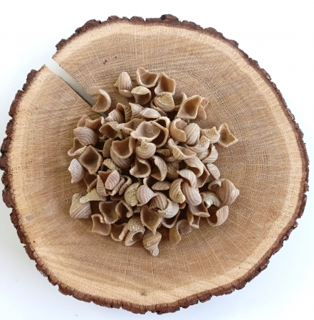 Paste de post, fără ou - Scoici cu roșii și busuioc fără ou – Paste artizanale vegane