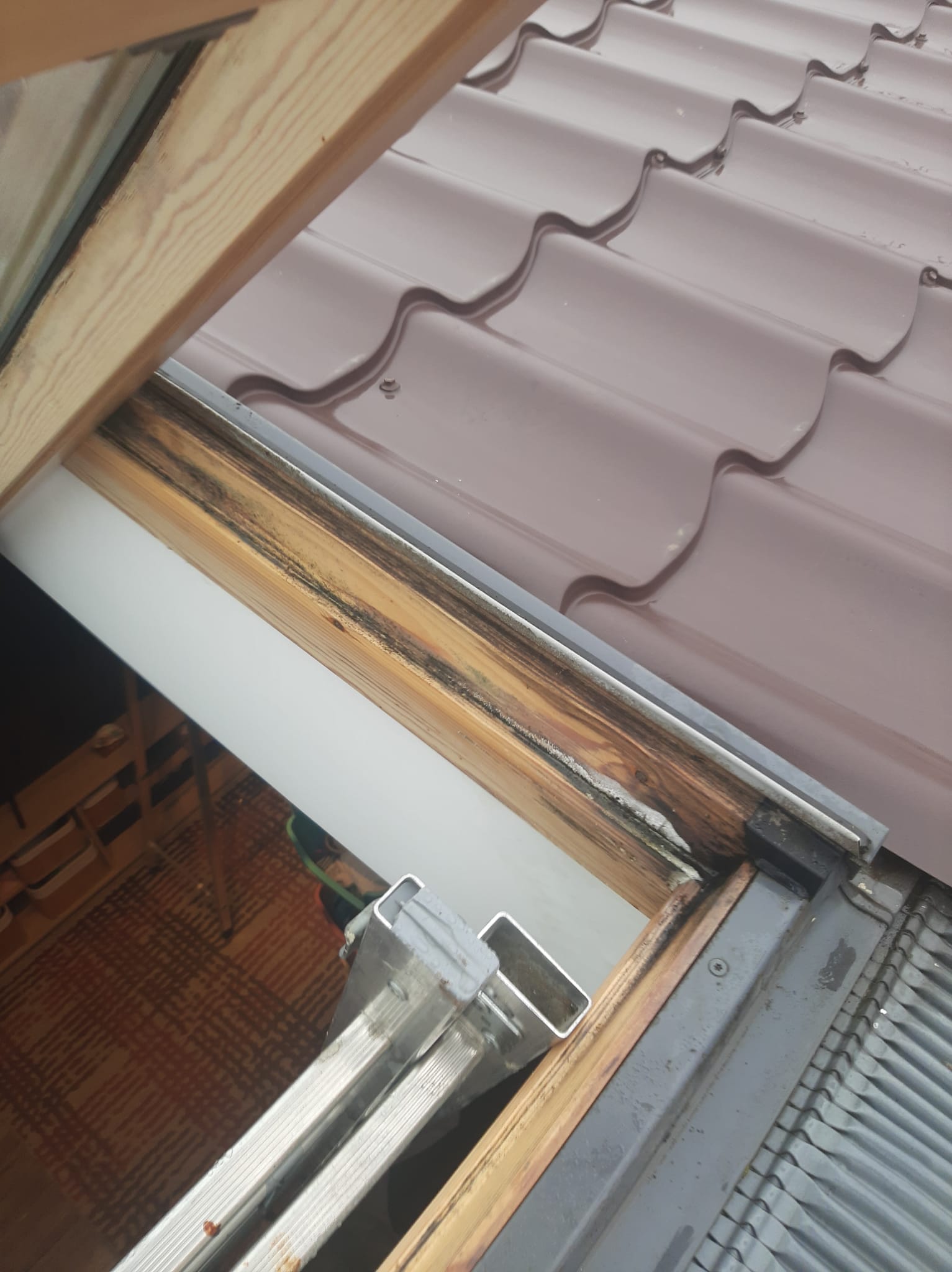 Lemnul ferestrei VELUX  a mucegait din cauza infiltratiilor