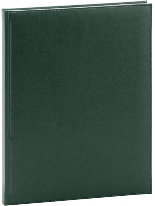Agenda A4 Nedatata Activ Ego [1]