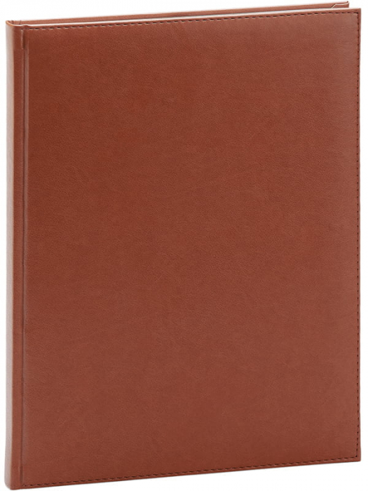 Agenda A4 Nedatata Activ Ego [1]