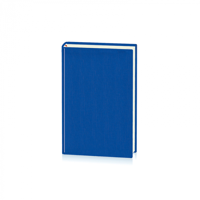 Agenda A5 Zilnica Basic Ego [1]