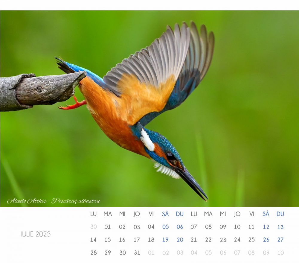 Calendar Delta 2025 [2]