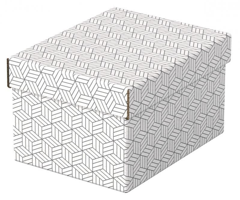Cutie Depozitare Cu Capac 25*20*15Cm Recycled Esselte [2]