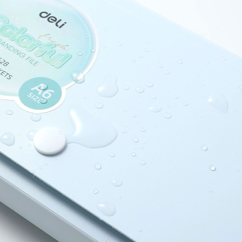 MAPA PLASTIC A6 12 SEPARATOARE PASTEL DELI [3]