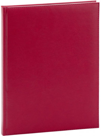 Agende - Agenda A4 Nedatata Activ Ego