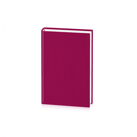 Hârtie / Produse din hârtie - Agenda A5 Zilnica Basic Ego