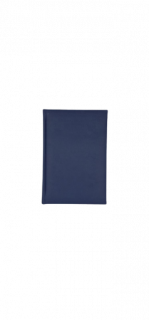 Papetărie / Birotică - Agendă A5 2023 zilnică Capri Ego