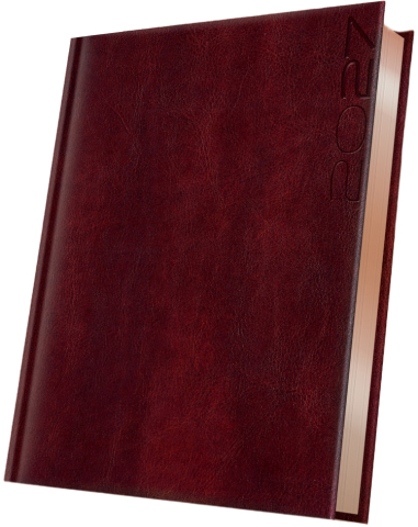Papetărie / Birotică - Agendă datată 2027 Herlitz Premium Deluxe Narni A5, Folio Bronz, Maro