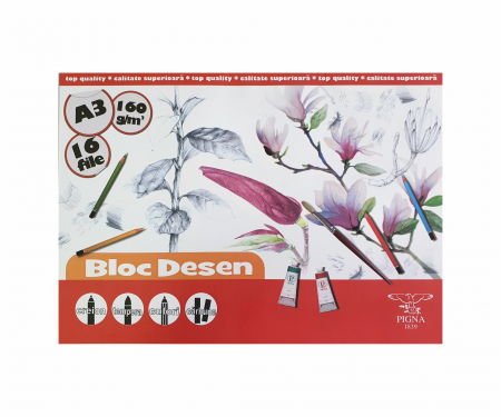 Accesorii pentru Pictură - Bloc Desen A3 160g Pigna