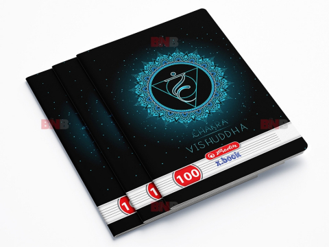 Caiete - Caiet A4, 100 file, dictando, Chakra