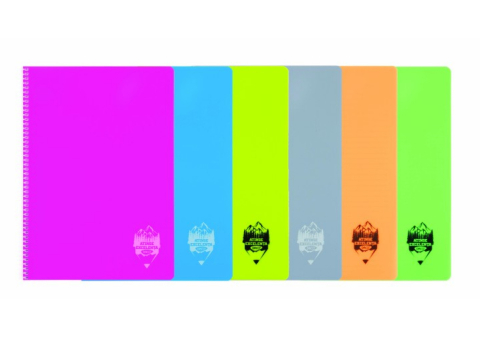 Caiete - Caiet A4 144 file coperta plastic spira Romana DACO