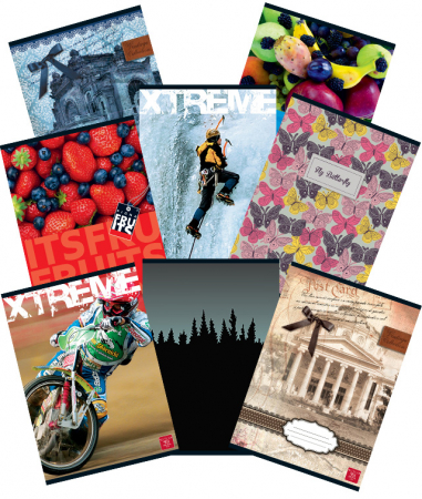 Papetărie / Birotică - Caiet A4 80 file Linii Pigna