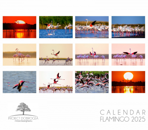Susține Proiect Dobrogea - Calendar Flamingo 2025
