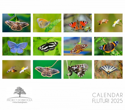Susține Proiect Dobrogea - Calendar Fluturi 2025