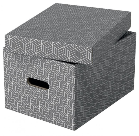 CUTIE DEPOZIT ARE CU CAPAC 36*26*20CM GRI RECYCLED ESSELTE [3]