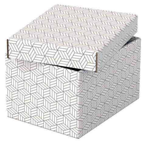 Cutie Depozitare Cu Capac 25*20*15Cm Recycled Esselte [4]