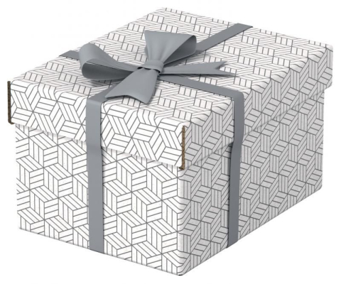 Cutii Arhivare - Cutie Depozitare Cu Capac 25*20*15Cm Recycled Esselte