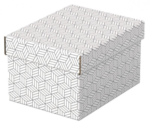 Cutie Depozitare Cu Capac 25*20*15Cm Recycled Esselte [1]