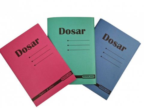 Dosare - Dosar Carton Colorat cu Șină pentru Arhivare – Ideal pentru Organizarea Documentelor