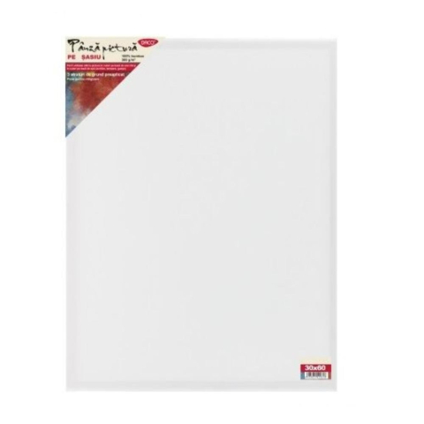 Accesorii pentru Pictură - Panza pictura pe sasiu 30X60 cm DACO