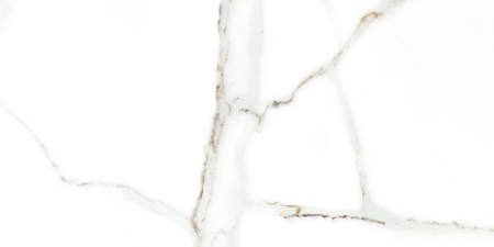 Faianta - Faianta DELPHI WHITE 25/50
