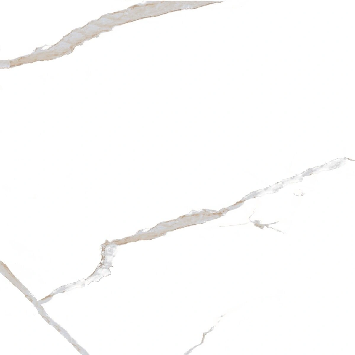 Gresie - Gresie portelanata rectificata Victoria White, 58X58