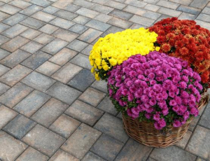 Pavaj Travia mix color, grosime 6 cm [2]