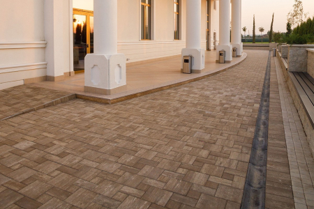 Rigola scafa R10 [1]