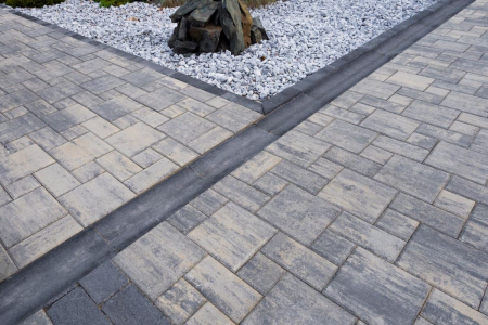 Rigola scafa R10 [2]