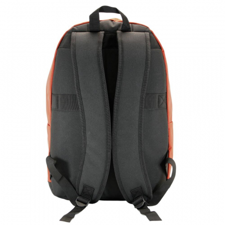 Ghiozdan Gryffindor Harry Potter 41cm [2]