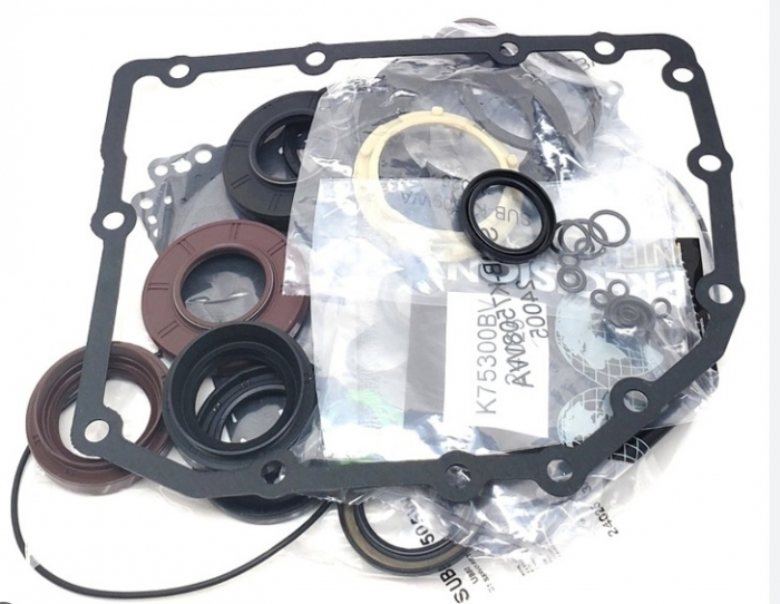 Reparatie completa cutie automata Bmw/Mini GA8F22AW [2]