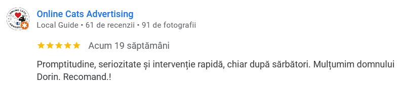 Recenzie Google Road Runner - promptitudine, seriozitate și intervenție rapidă