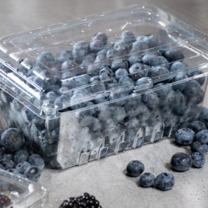 Set Caserole Perforate pentru Fructe și Legume, cu Capac Încorporat, PET Transparent [1]