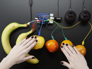 Capacitive Touch HAT pentru Raspberry Pi - Mini Kit - MPR121 [2]